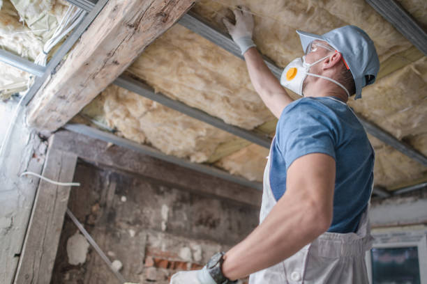 Best Insulation Maintenance and Repair in Fairmount, TN